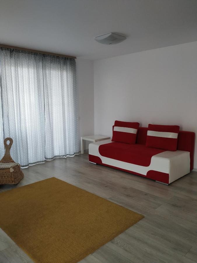 Exquisite Apartament Braşov Esterno foto